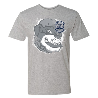 Mahoning Valley Scrappers Vintage Heather Grey T-Shirt